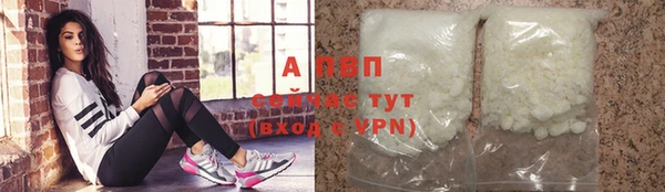 гашик Вязники
