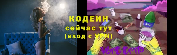 мет Вяземский