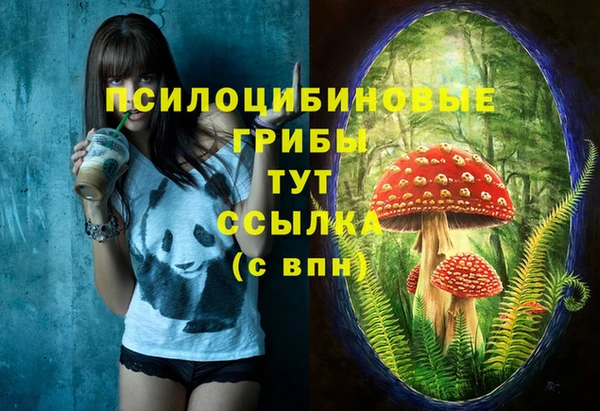 гашик Вязники