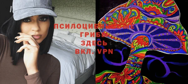 герыч Вязьма