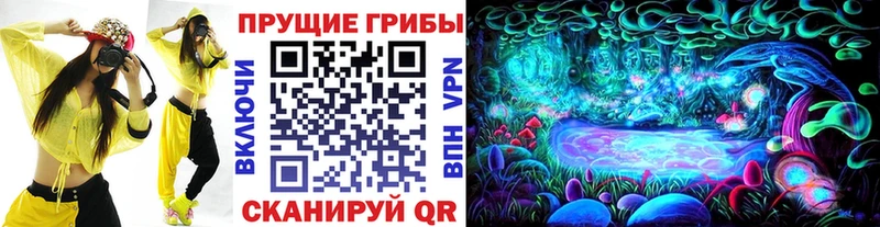 Галлюциногенные грибы Psilocybine cubensis Купить Боровск